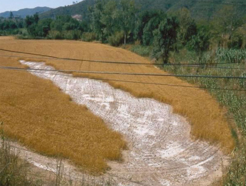 Salmorres Brine Collector Project – Lot 2