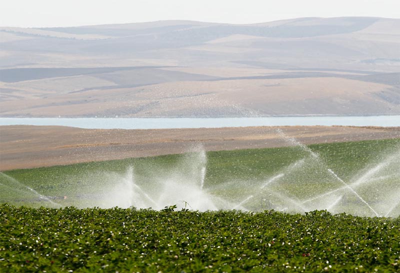 Projet d'irrigation gravitaire de Ceylanpinar